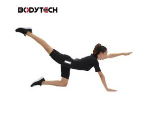 ระบบฝึกอบรม EMS